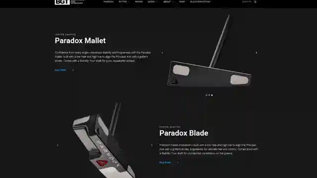 master-precision-bgt-paradox-putter-review
