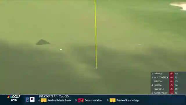 rory-mcilroys-tournament-struggles-driver-woes-and-lack-of-focus
