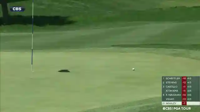 golf-channel-tournament-coverage-skill-strategy-and-heartfelt-moments