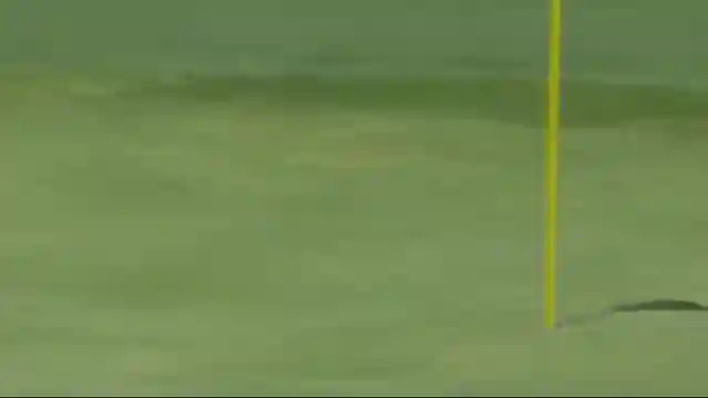colonial-country-club-showdown-english-and-palmer-lead-the-way