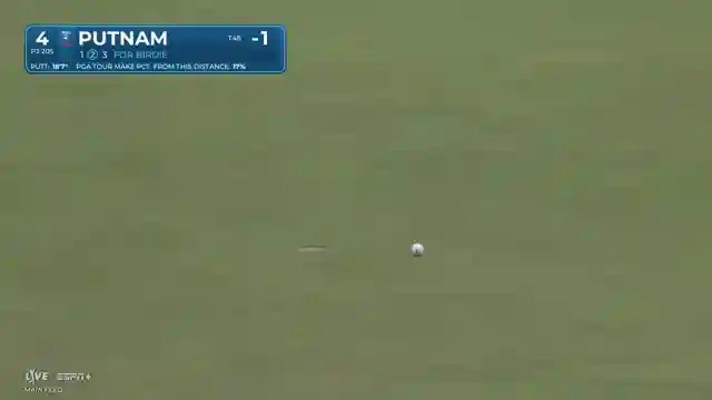 pga-tour-sheffler-leads-with-stellar-61-in-intense-competition